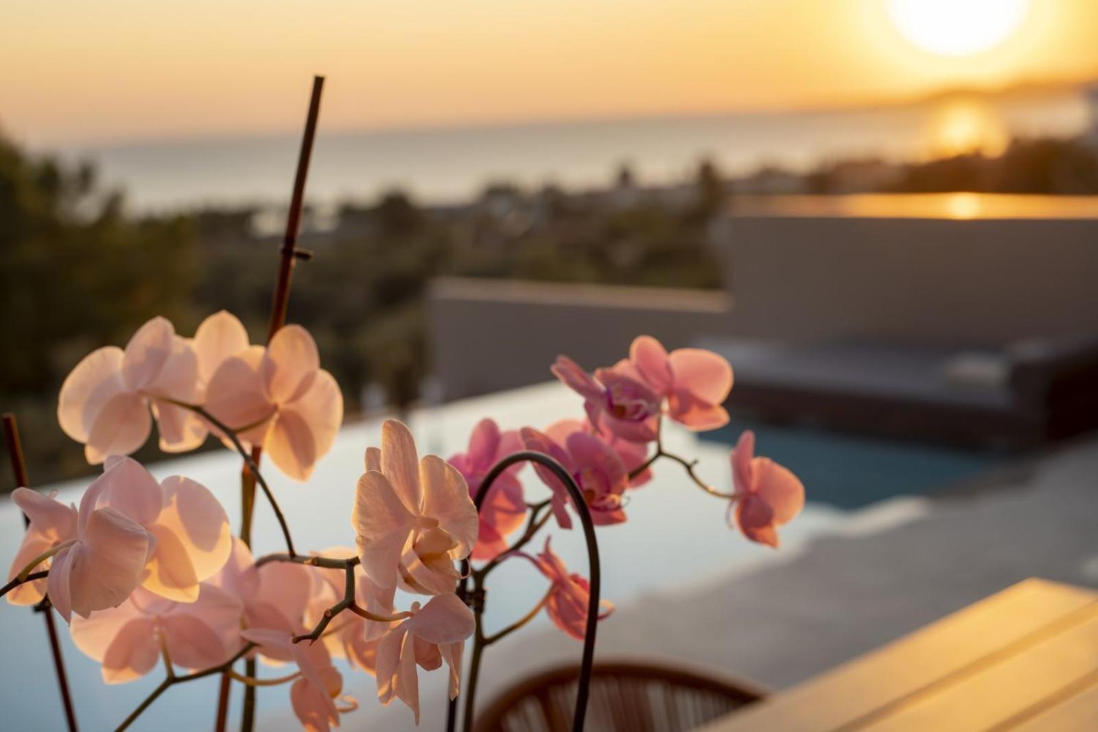 Lithos Villas - Nikiti Halkidiki 외부 사진